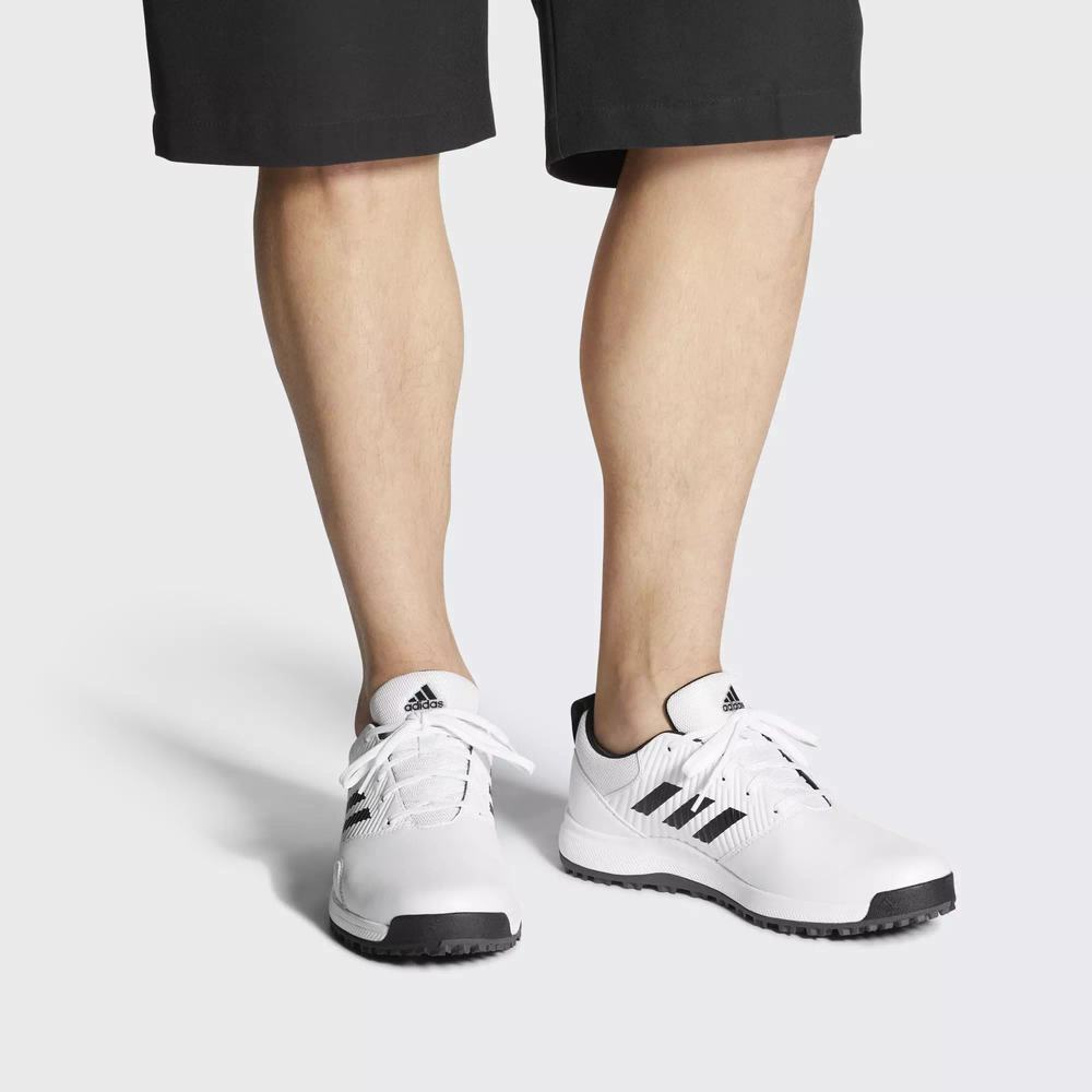 Adidas CP Traxion Spikeless Tenis De Golf Blancos Para Hombre (MX-63308)